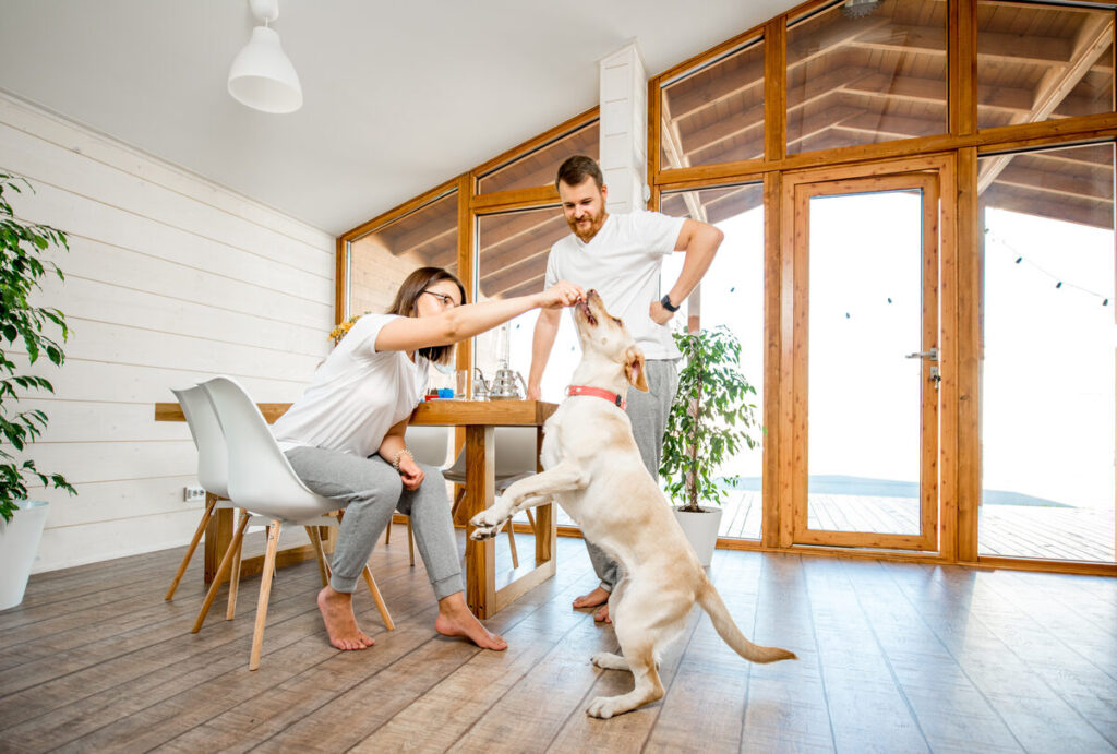 Living in Bayfront, Wildwood, NJ: A Neighbor’s Guide to Community, Comfort, and Coastal Charm